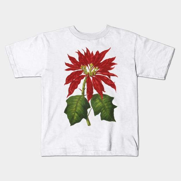 Vintage Christmas Poinsettia Plant Kids T-Shirt by MasterpieceCafe